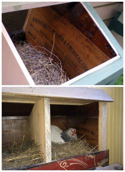 Cool Coops! - Tom's Bird House | Community Chickens