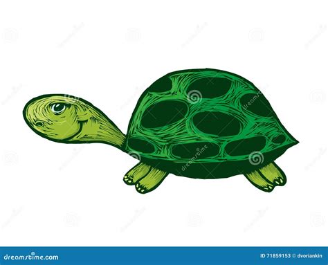 Smiling Turtle Cartoon Stock Vector Illustration Of Funny 71859153