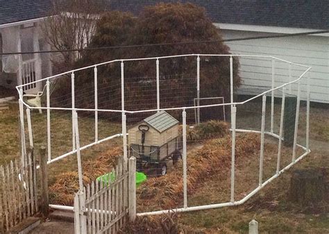 Pygmy Goat Fencing at Jeffery Vaughn blog