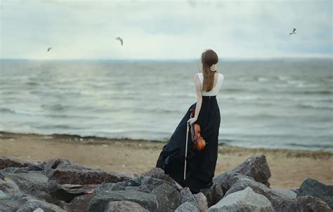 Берег скрипка - 88 фото