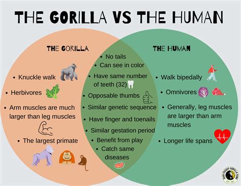 Blahgigi Vs. [Competitor]: The Ultimate Comparison Experts Can't Ignore Image 13