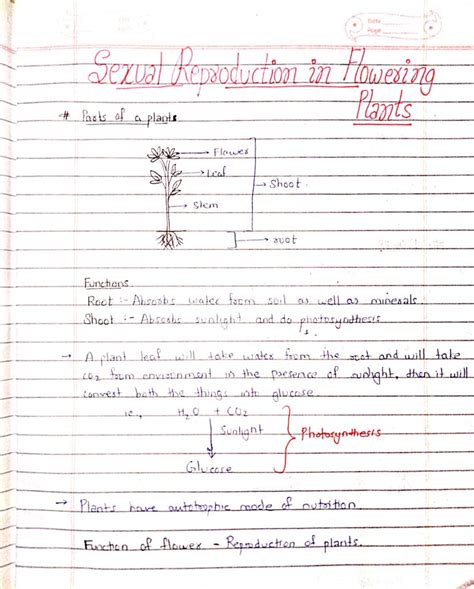 Sexual Reproduction In Flowering Plants Class Biology Handwritten