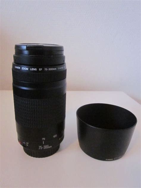 Canon 75 - 300 mm - Catawiki