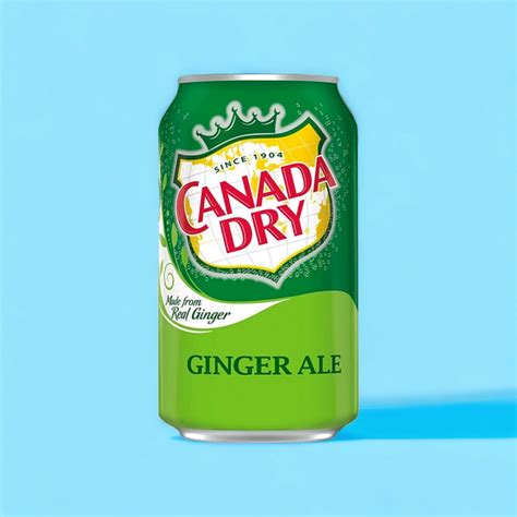 Canada Dry Ginger Ale 355ml Retro Alley