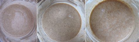 Бездрожжевая закваска для хлеба - читайте на Tkat.ru.