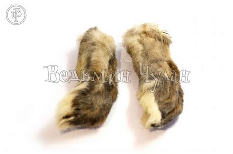 Заячья лапка - эзотерический магазин Ведьмин Чулан