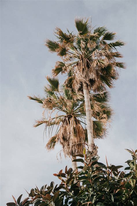 Things to do in Tel Aviv: a travel guide to the coolest city in the