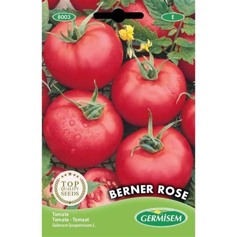 Germisem Graines Tomate Berner Rose Z1039 Cdiscount Jardin