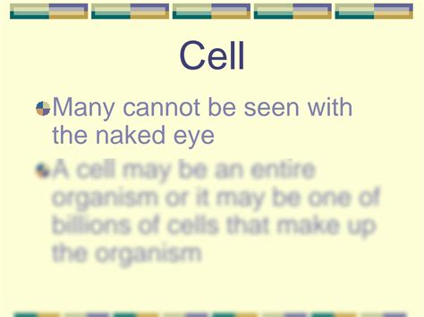 SOLUTION: Basic cell structure - Studypool