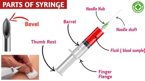 Parts Of Syringes Parts Of Syringe Youtube