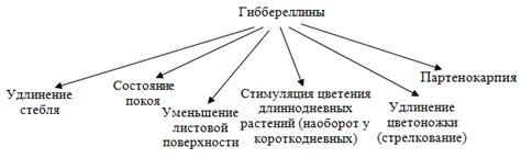 Лекция 8. Фитогормоны