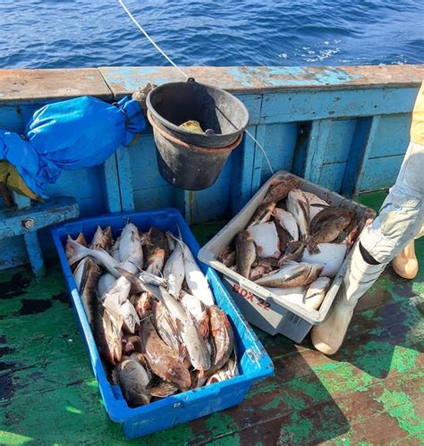 Polícia Ambiental apreende 400 kg de pescado ilegal e multa tripulantes