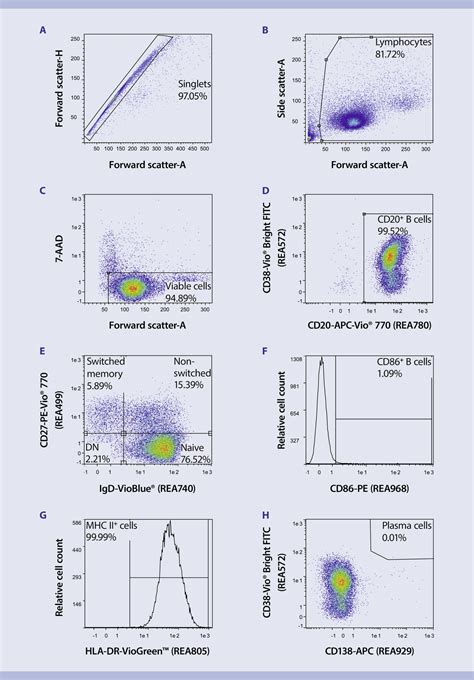 Immunophenotyping Human B Cells Protocol Miltenyi Biotec USA