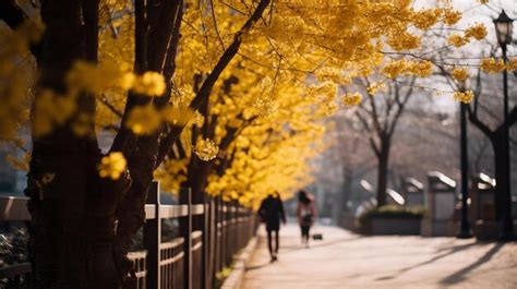 Premium Photo Korea Spring Park