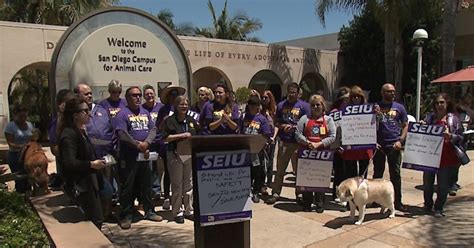 San Diego Animal Shelter Workers Rally Against Potential Outsourcing Of Their Jobs | KPBS Public ...