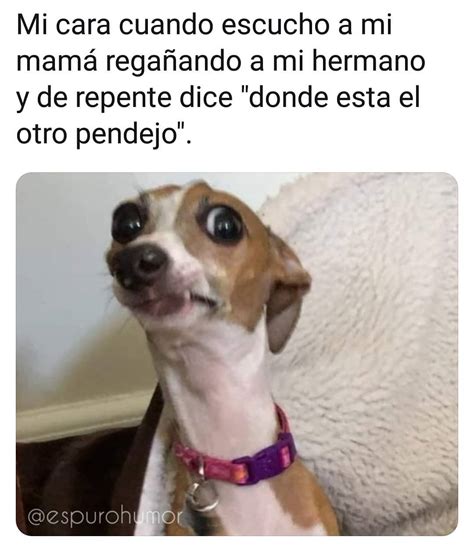 Mi Cara Cuando Escucho A Mi Mam Rega Ando A Mi Hermano Y De Repente