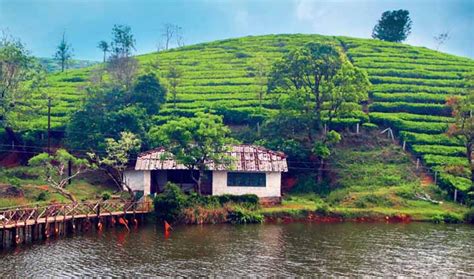 beautiful attractions  visit  vagamon kerala lifeberryscom