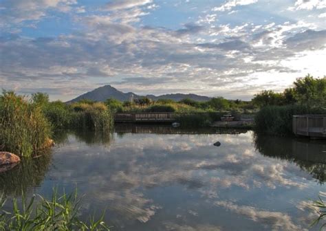 Clark County Wetlands Park Las Vegas What To Expect Timings