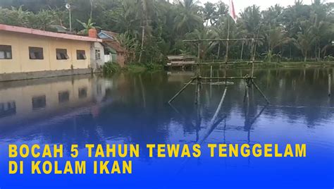 Bocah Tahun Tewas Tenggelam Di Kolam Ikan