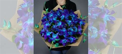 Букет космических орхидей купить в Москве | Товары для дома и дачи | Авито