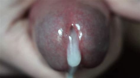 Close Up Cum Free Gay Cum Hd Porn Video B Xhamster