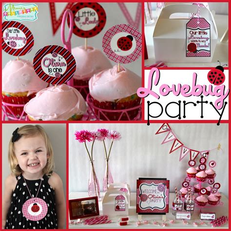 Ladybug Birthday Decorations Ideas | Shelly Lighting