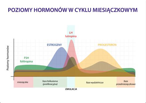 O co chodzi czyli fizjologia cyklu NPR dla każdego