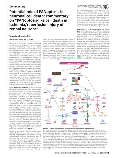 Pdf Potential Role Of Panoptosis In Neuronal Cell Death Commentary