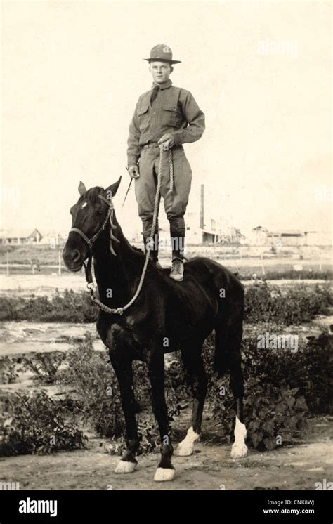 Soldier on horse hi-res stock photography and images - Alamy