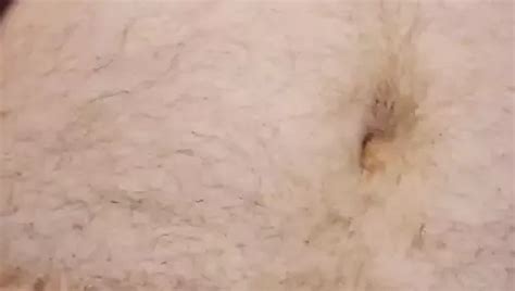 Jacking Off While Being Naked Outside XHamster