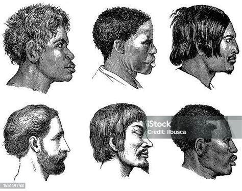 Tipos De Raças Humanas - Vetores de Várias Raças Humanas e mais imagens de Esboço - Esboço ...