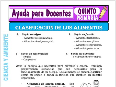 Clasificacion De Los Alimentos Para Quinto De Primaria Fichas Gratis Images