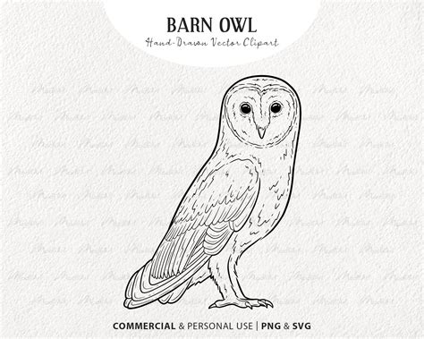 Barn Owl Vector Clipart Snowy Owl Artwork Sitting Bird Line Etsy