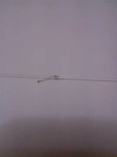 Особенности шнура Kosadaka Infinity – рыболовные обзоры | Рыбак 4arlinston