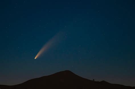 Halleys Comet 2024 Lissi Phyllis