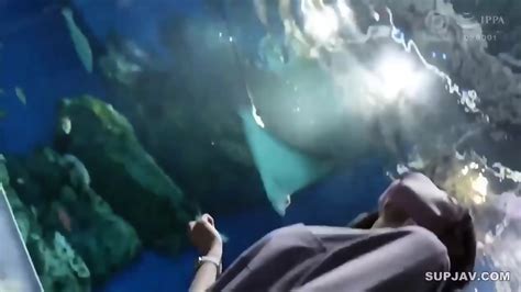 Adults Alone Take A Creampie Trip Trip05 1 Night And 2 Days ALL Raw Most Perfect Tits 1