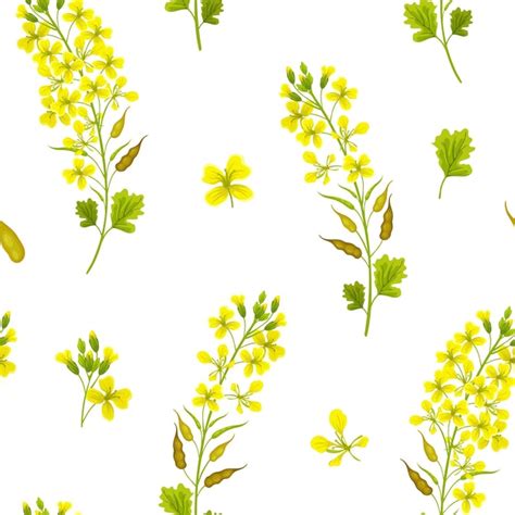 Mustard Flower Png