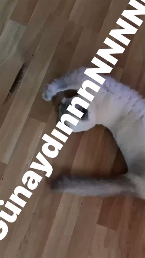 Bak Rk Y Gay Mas R On Twitter Gunaydiinnnnnn Bak Rk Y Yaln Z M Yerim Var Fotolar Benim