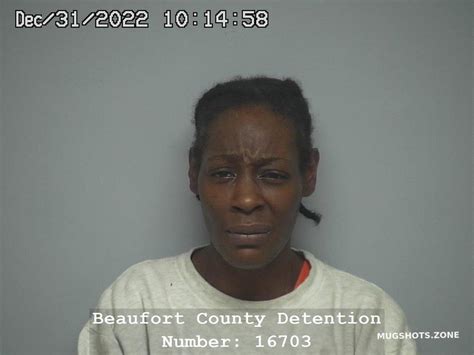 Crystal Elizabeth Howard 01172023 Beaufort County Mugshots Zone