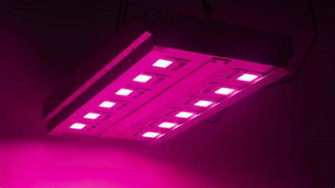 Panel Led 600w Cultivo Indoor Luxativa Chip Led COB Bridgelux