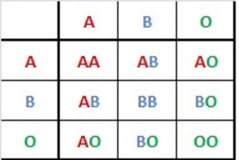 blood types history genetics  percentages   world