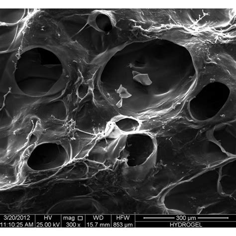 Swelling Behavior Of Hydrogels At Different A Ph And B Ionic