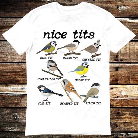 Nice Tits Bird Watch Marsh Blue Crested Willow Tit Birds T Shirt Meme Gift Funny Tee Vintage