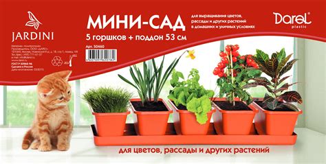 МИНИ САД 5 — Darel