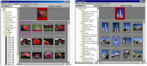 search   image  scientific diagram