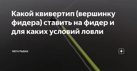 Какой квивертип (вершинку фидера) ставить на фидер и для каких условий ...