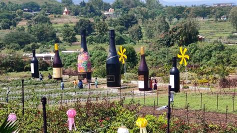 Planning A Trip To Nashik Don T Miss These Amazing Places In The Wine