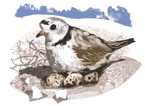 Shifting Sands, Changing Tides • Jekyll Island, Georgia • Vacation