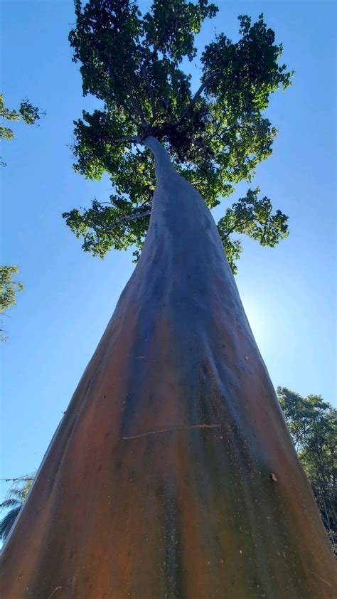 7 ideas de Venezuela | venezuela, caracas, foto