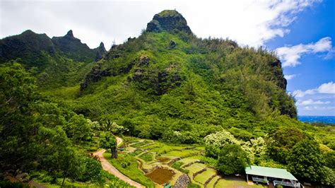 Kauai Parks And Gardens Go Hawaii